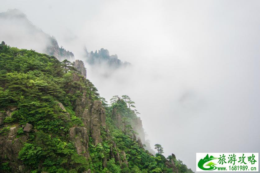 黄山有哪些旅游景点 黄山有什么好玩的