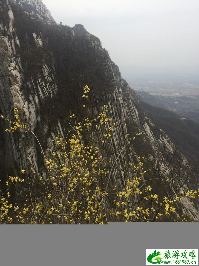 洛阳有哪些景点 洛阳必须去的旅游景点