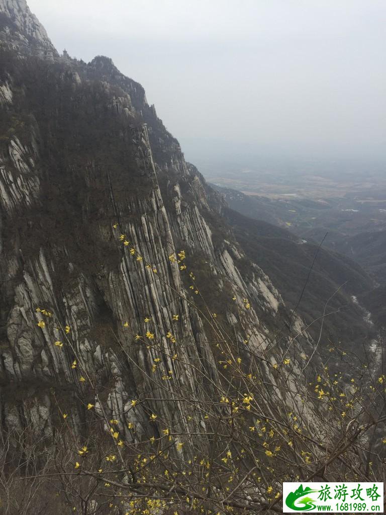 洛阳有哪些景点 洛阳必须去的旅游景点