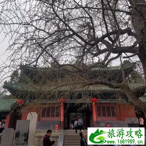 洛阳有哪些景点 洛阳必须去的旅游景点