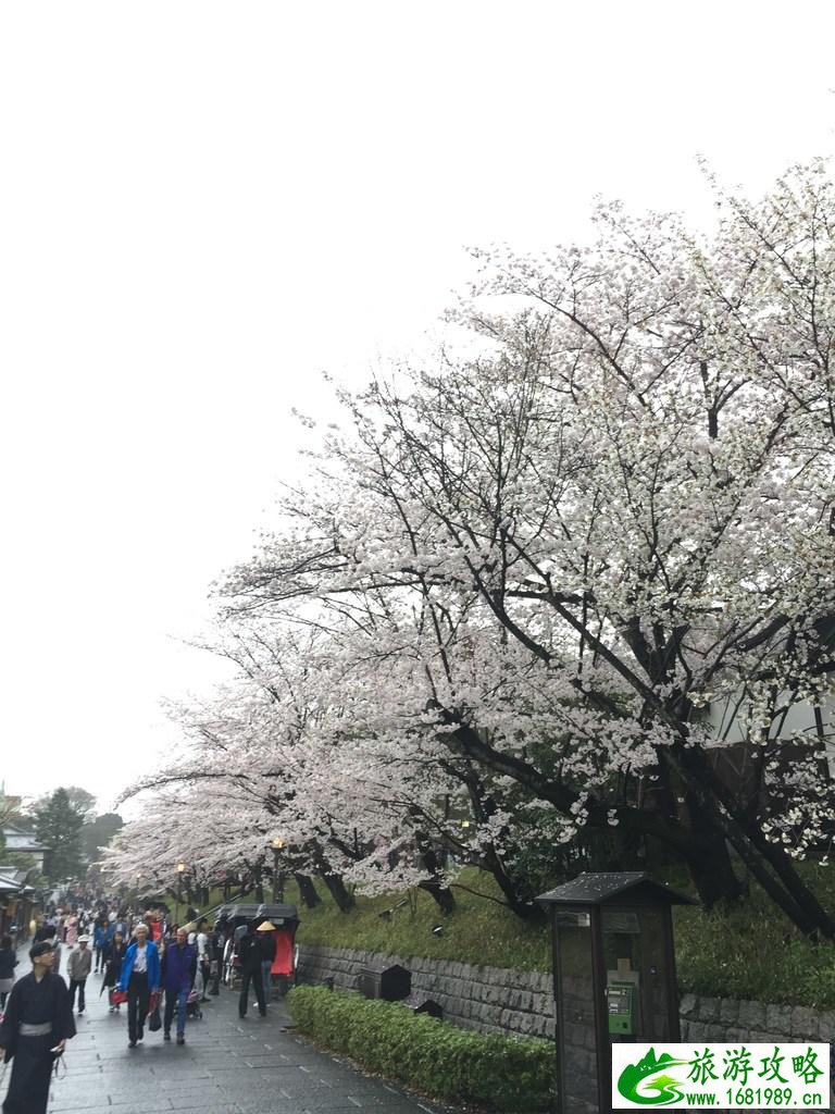 怎么从大阪到奈良 奈良大阪的樱花开了吗