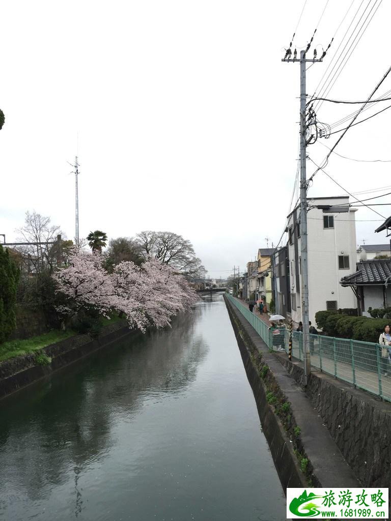 怎么从大阪到奈良 奈良大阪的樱花开了吗