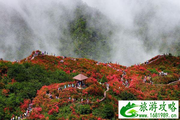 大围山国家森林公园门票多少钱 门票优惠