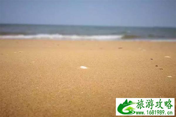 沈阳周边适合赶海的地方 白沙湾赶海攻略