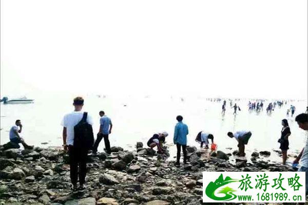 珠海赶海什么地方最好