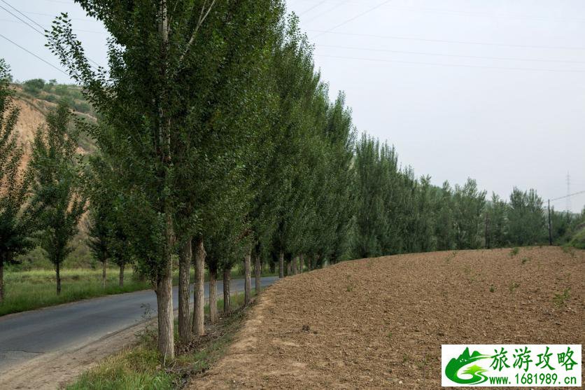 红崖沟大峡谷好玩吗 红崖沟大峡谷穿越最佳路线