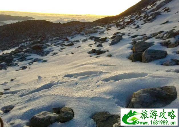 哈巴雪山登山花费攻略