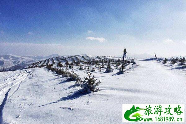 天津最好的滑雪场推荐 附滑雪场介绍