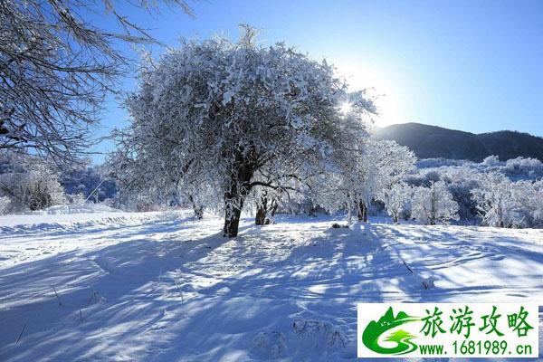 四川滑雪场哪个最好 四川滑雪场推荐