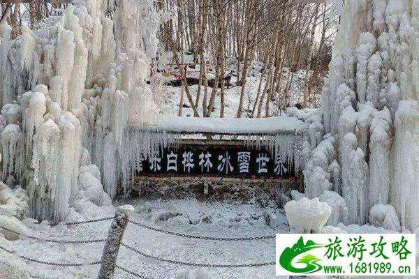 康乐县白桦林冰雪世界免费到什么时候?日常门票价格介绍