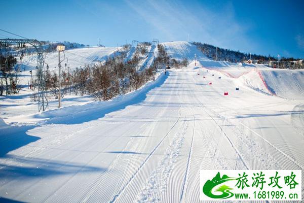 武汉有滑雪场地吗 市内、周边有多种选择