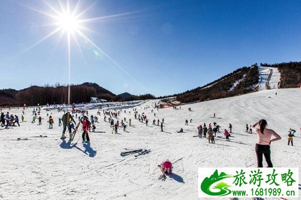 神龙架国际滑雪场门票多少钱