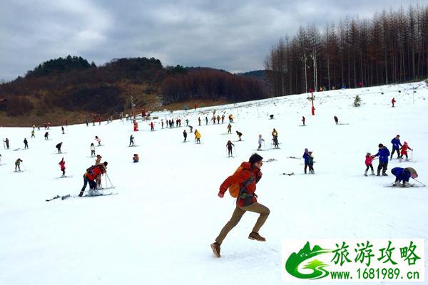 神农架滑雪好玩吗 4大景区带你从早玩到深夜