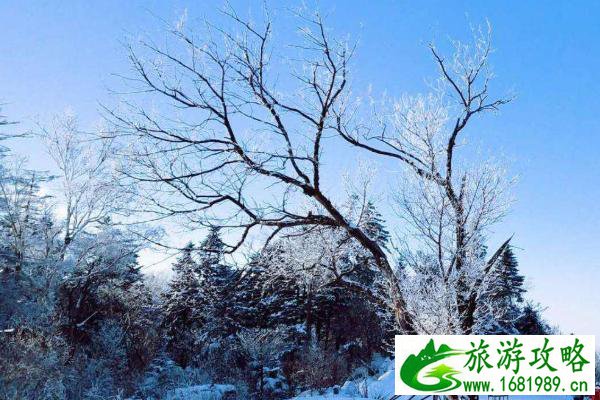 2021吉林北大湖滑雪场好玩吗 北大湖滑雪场门票+地址信息