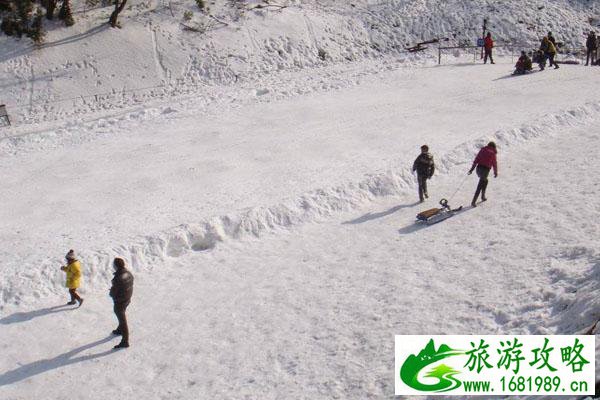 长春莲花山滑雪场什么时候可以滑雪2020-2021