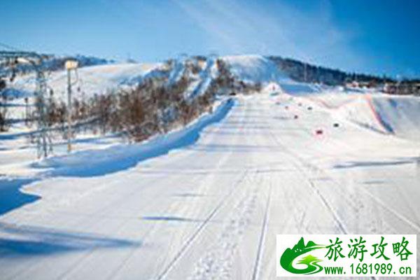 沈阳滑雪的地方有哪些 沈阳有没有滑雪的地方