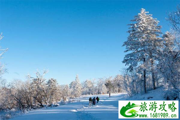 亚布力大青山滑雪场门票价格