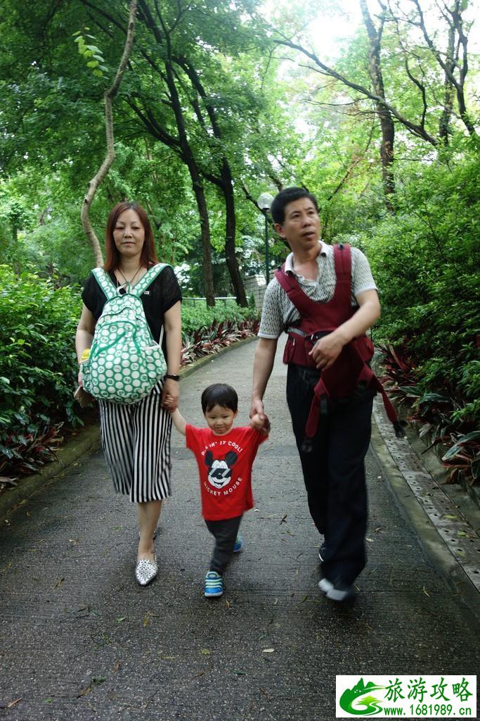 香港有什么好玩的地方 香港五日亲子游