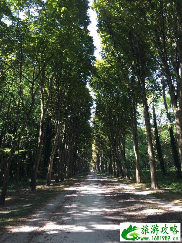 巴黎有哪些旅游景点 巴黎需要玩几天