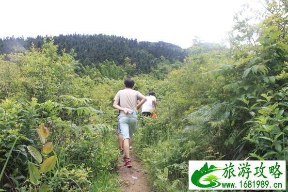 江西莲花石门山怎么去 江西莲花石门山自助旅游攻略