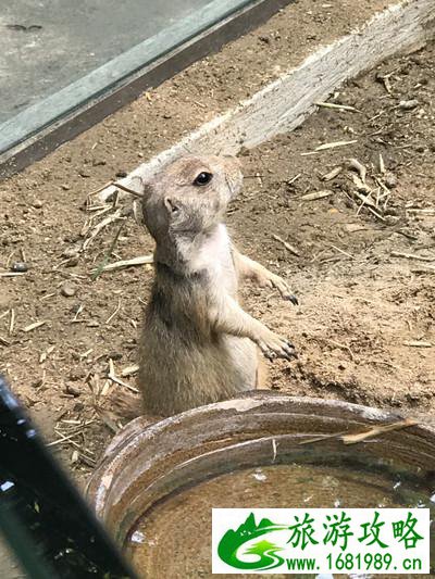 泰国有哪些景点 去泰国要多少钱