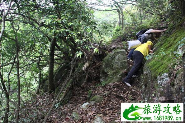 武功山最安全的路线 武功山最佳旅游时间