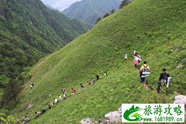 武功山最安全的路线 武功山最佳旅游时间