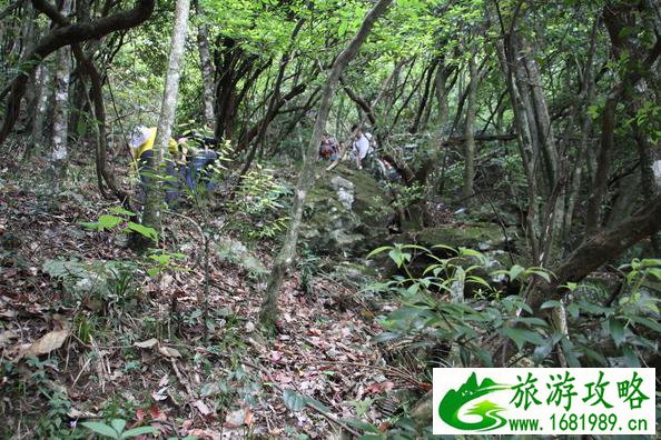 武功山最安全的路线 武功山最佳旅游时间