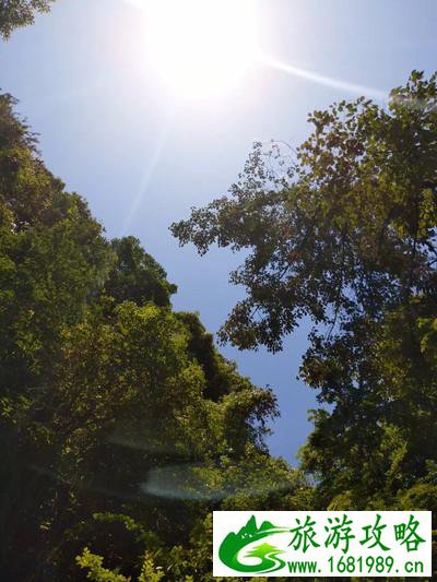 千岛湖有哪些景点 无锡到千岛湖旅游怎么计划