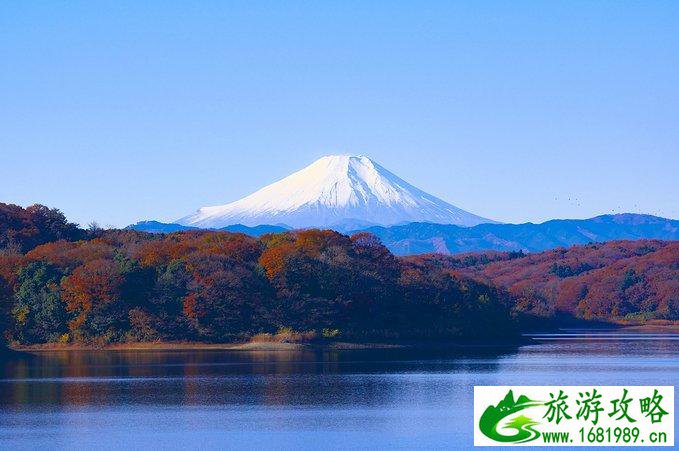 上海到日本自由行攻略 去日本怎么最省钱