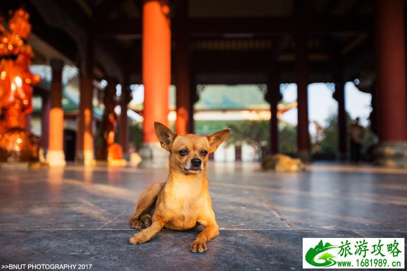 越南有什么好玩的 去越南旅游要多少钱