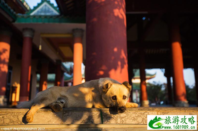 越南有什么好玩的 去越南旅游要多少钱