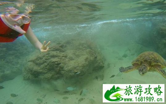 夏威夷的恐龙湾好玩吗  夏威夷的恐龙湾有哪些景点 夏威夷的恐龙湾在哪儿