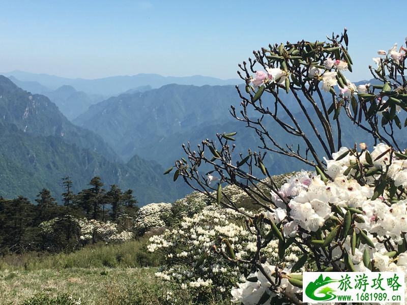 神农架有什么好玩的地方 神农架有野人吗