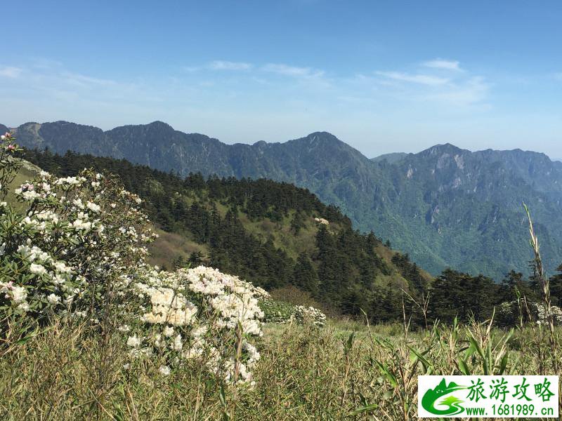 神农架有什么好玩的地方 神农架有野人吗