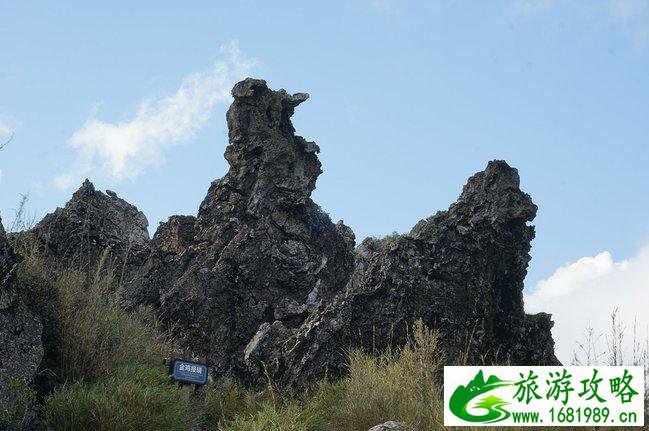 神农架有什么好玩的地方 神农架有野人吗