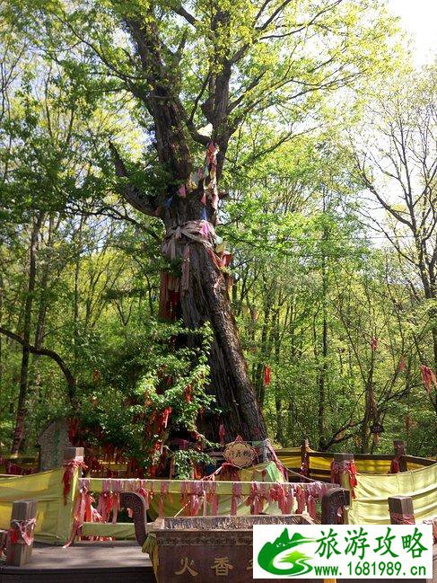 神农架有什么好玩的地方 神农架有野人吗