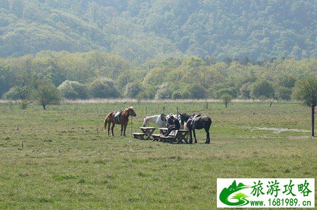 神农架有什么好玩的地方 神农架有野人吗