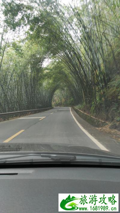 蜀南竹海有哪些景点 好玩吗