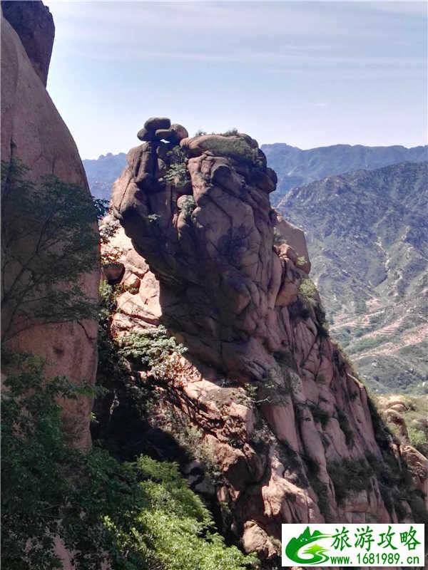 兔耳山风景区好玩吗 兔耳山自助游攻略