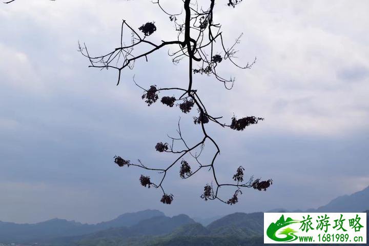  都江堰风景区在哪儿