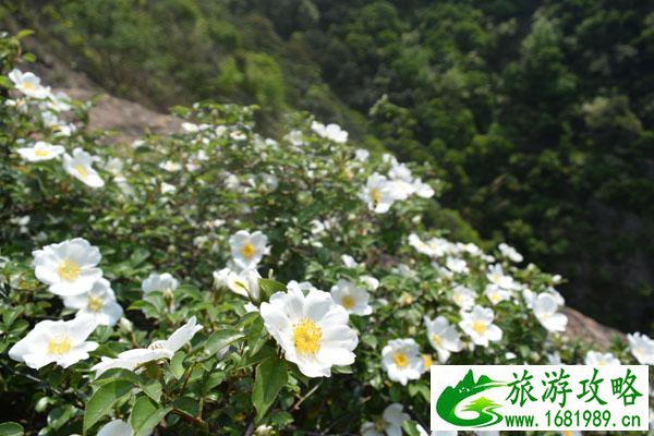 九峰山在哪里