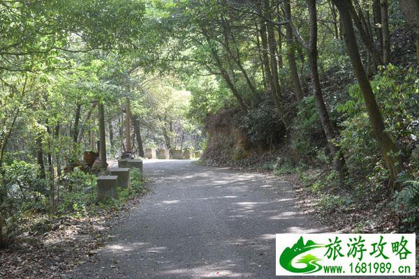 九峰山在哪里