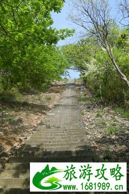 九峰山在哪里