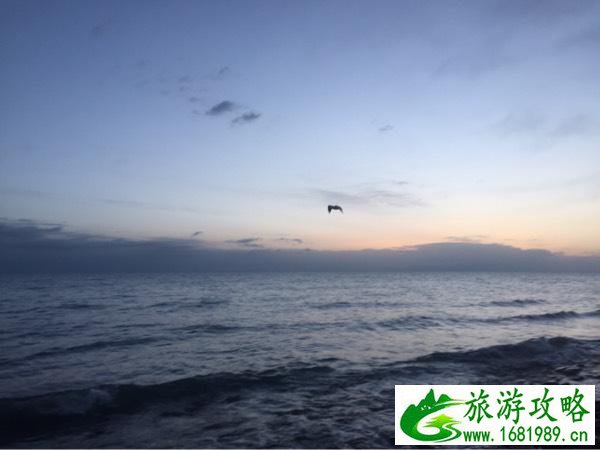 青海湖什么时候去最好  青海湖是湖还是海