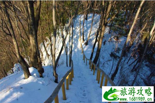 伏牛山滑雪场电话号码 附2022-2020伏牛山滑雪场12月1日开启