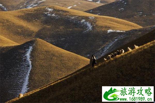 会泽大海草山介绍 大海草山门票价格-游玩攻略