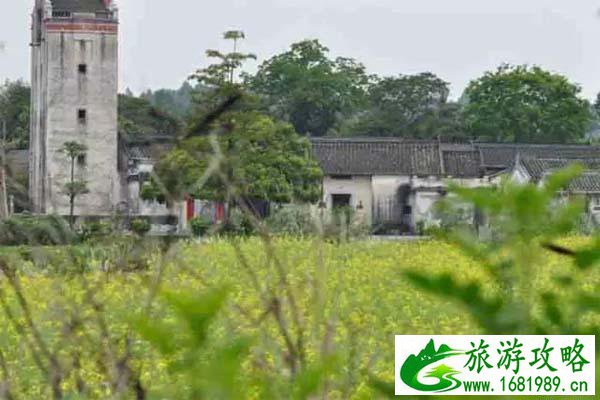 2022深圳观澜版画村油菜花观赏期是什么时候