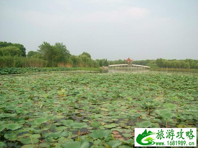 瞿家湾风景区游玩攻略