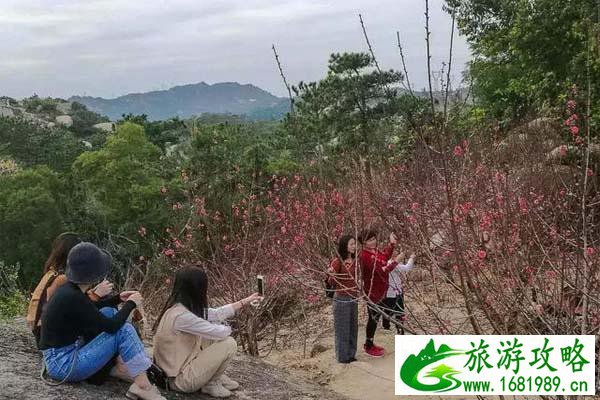 巨峰寺桃花什么时候开